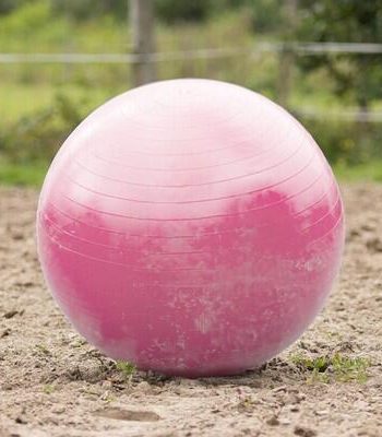 Sjov lyserød hestefodbold til leg og træning!