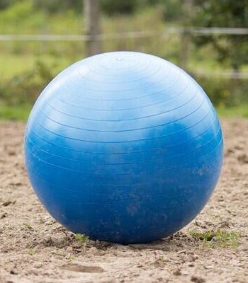 Heste Fodbold Fra Qhp Blå - Brands Of Q Voresfodbold  - 8718369249788